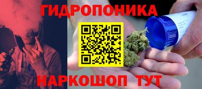СК Лесосибирск